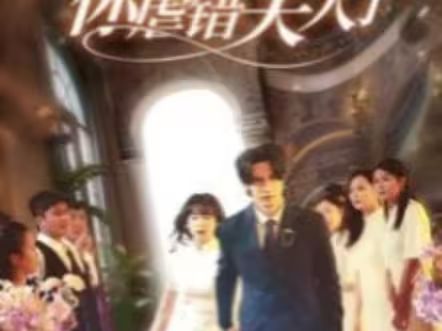 陸總住手吧，你虐錯(cuò)夫人了(全集)