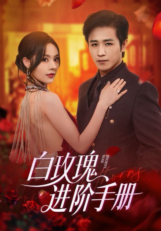 白玫瑰進(jìn)階手冊(cè)(全集)