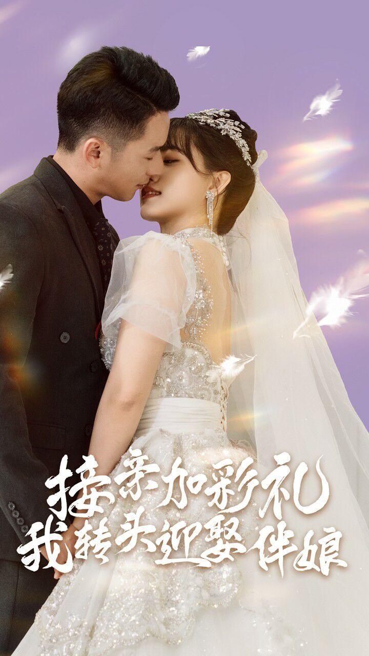 接親加彩禮，我轉(zhuǎn)頭迎娶伴娘(全集)