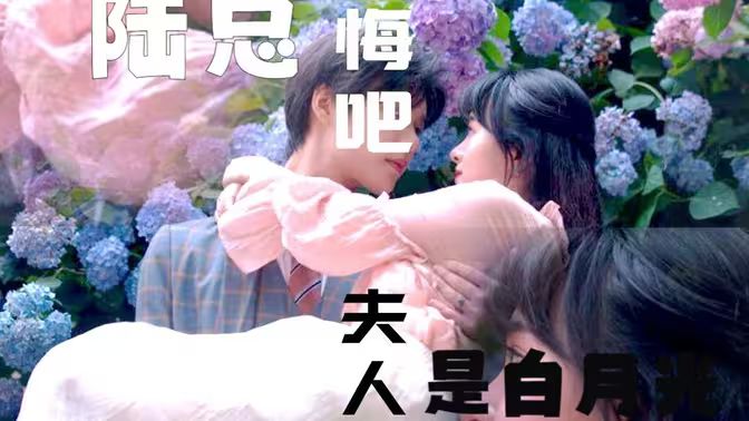 陸總懺悔吧，夫人才是白月光(全集)