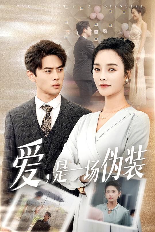 愛(ài)是一場(chǎng)偽裝(全集)