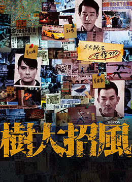 樹大招風(fēng)(全集)