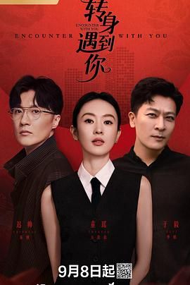 轉(zhuǎn)身遇到你(全集)