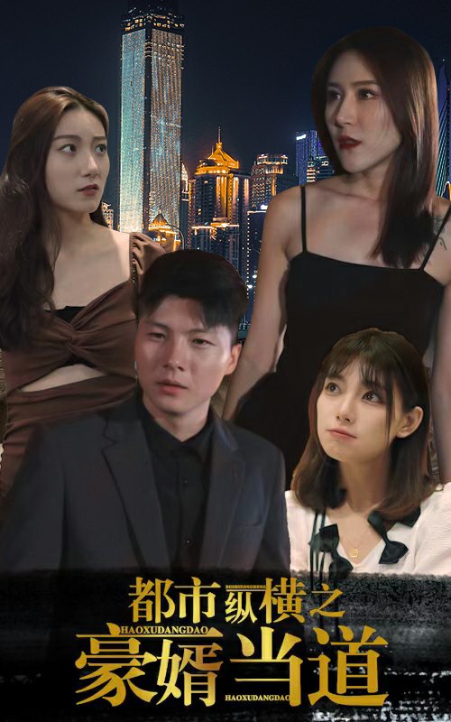 都市縱橫之豪婿當道