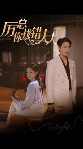 厲總，你找錯夫人了(全集)