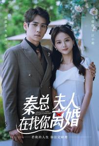 秦總，夫人在找你離婚(全集)