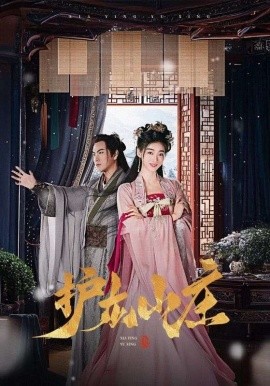 護(hù)龍山莊(全集)