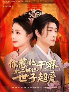 你惹她干嘛，她二嫁但世子超愛(ài)(全集)