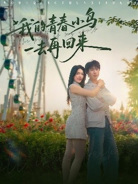我的青春小鳥一去再回來