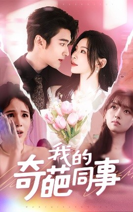 我的奇葩同事(全集)