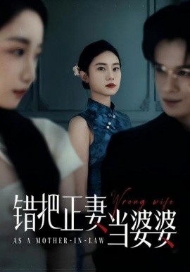 錯(cuò)把正妻當(dāng)婆婆