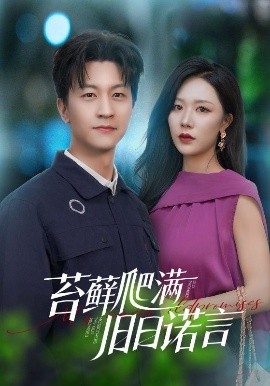 苔蘚爬滿(mǎn)舊日諾言(全集)