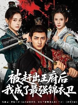 被趕出王府后我成了最強(qiáng)錦衣衛(wèi)(全集)
