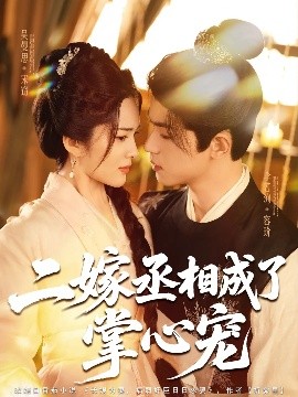 二嫁丞相成了掌心寵