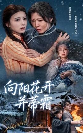 向陽(yáng)花開并蒂霜(全集)