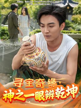 尋寶奇緣，神之一眼辨乾坤(全集)